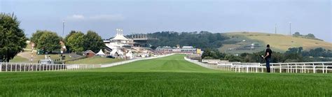 turftrax cheltenham|cheltenham going report turftrax.